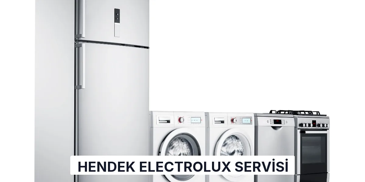 Hendek Electrolux Servisi