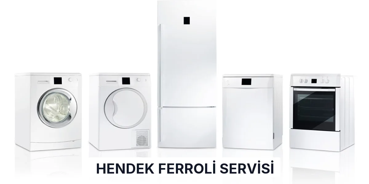 Hendek Ferroli Servisi