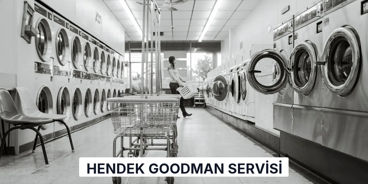 Hendek Goodman Servisi