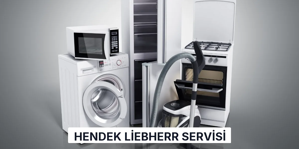 Hendek Liebherr Servisi