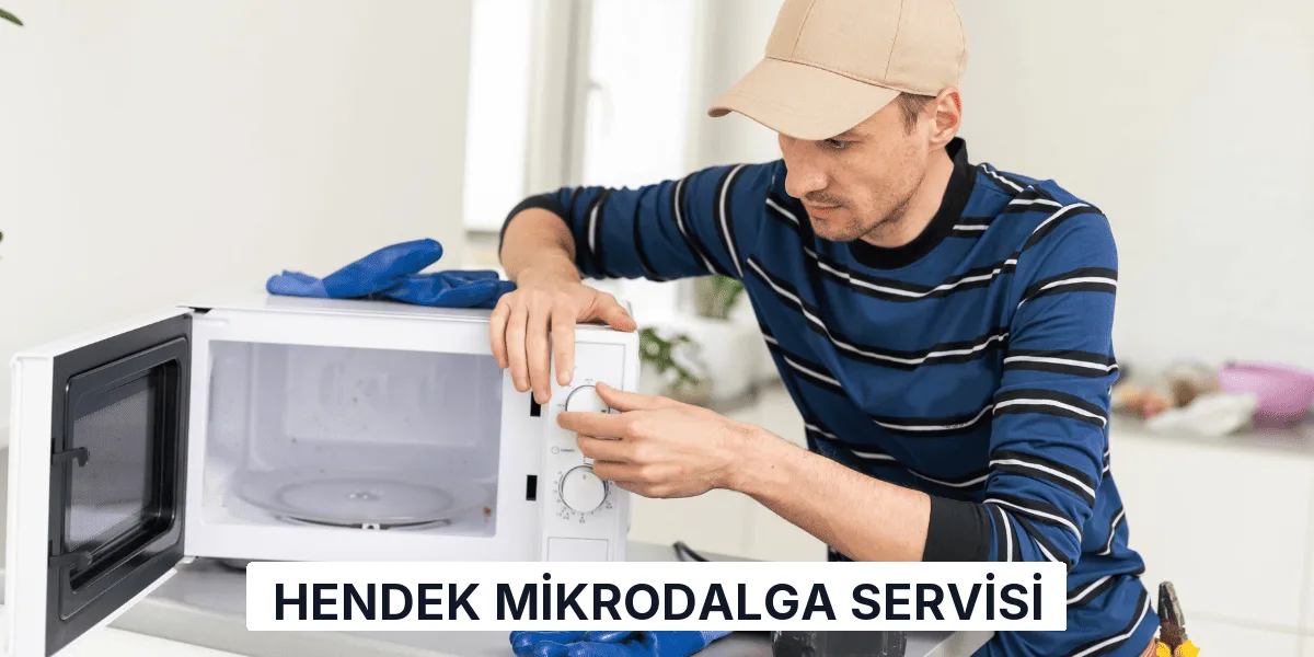Hendek Mikrodalga Servisi