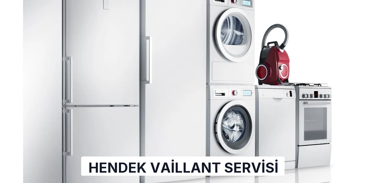 Hendek Vaillant Servisi